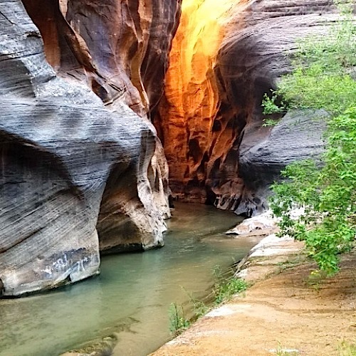 zion backpacking and canyoneering guides